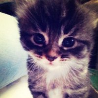 winzerr (@winzerr576) 's Twitter Profile