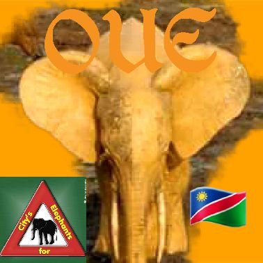 🅾𝗽𝗲𝗻 🆄𝗻𝗶𝘃𝗲𝗿𝘀𝗶𝘁𝘆 𝗼𝗳 🅴𝗹𝗲𝗽𝗵𝗮𝗻𝘁𝘀

  ....🐘🦏Part of CITY'S FIGHTING FOR
𝕰𝖑𝖊𝖕𝖍𝖆𝖓𝖙𝖘 & RHINOS....
DM⛔