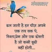 Hoshiar Singh Arya (@aryahoshia41776) 's Twitter Profile