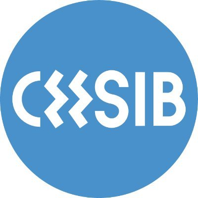 Ceesib_IB Profile Picture