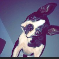 Tony Laven (@tonylaven1) 's Twitter Profile Photo Tony Laven (@tonylaven1) 's Twitter Profile Photo