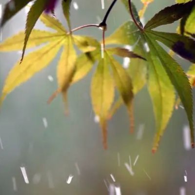 soincreasing's profile picture. 