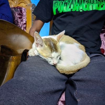 HauckRosal5566's profile picture. Try not to be a man of success, but rather try to become a man of value.