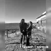 n_evvaehespiin's profile picture. What should i put here?