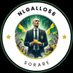 NLGALLO56 Sorare (@nlgallo56) Twitter profile photo NLGALLO56 Sorare (@nlgallo56) Twitter profile photo