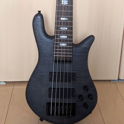 ベース弾きます。Spector。 メタルが好き。 仲良くしてね。