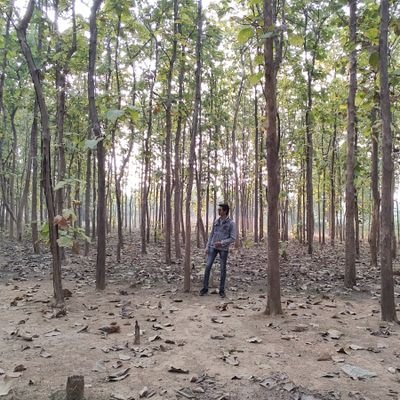 nfs143nik's profile picture. 