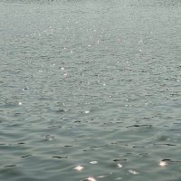 O (@xenotimeo) 's Twitter Profile