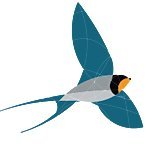 Sovon Vogelonderzoek Nederland (@sovon) 's Twitter Profile