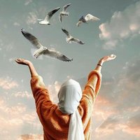 Aisha Saleh (@aishasa96244111) Twitter profile photo