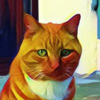 Cat Research (@drmircea) 's Twitter Profile Photo
