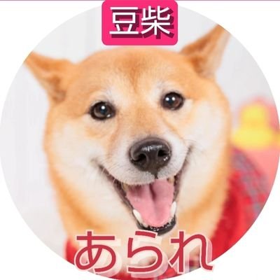 2018年2月9日生5歳♀
豆柴犬💕🐾🇯🇵
好きな場所 : マルシェ、 美容室
好きな食物 : パンケーキ、チキン
#豆柴あられちゃん
#わふわふクラブ
#柴犬 #豆柴 #あられちゃんねる
#SHIBAINU #SHIBA #dog
#ARARE #あられ #柴犬あられ