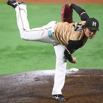 プロ野球ファン(日ハム)/プロスピA(日ハム純正)
データとかはそんなに詳しくないので試合見たり結果見たりしながら適当に呟く
推し選手は　#中島卓也 #伊藤大海 #水野達稀
推しfgは　#大野未侑 #田中杏奈