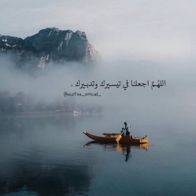 dohmy0500's profile picture. 