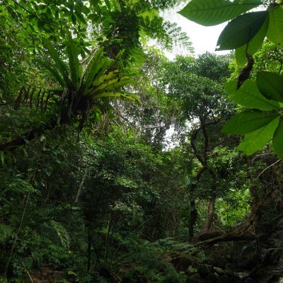 15wastrawberry's profile picture. ゆるーい無添加生活。自然大好き。