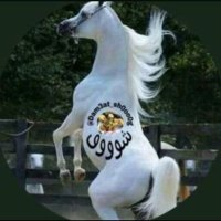 Dam3at.shoog (@shoogdam3at) 's Twitter Profile Photo