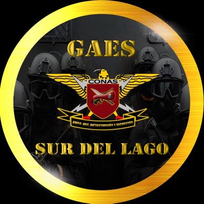 Comando Nacional Antiextorsion y Secuestro, Sur Del Lago