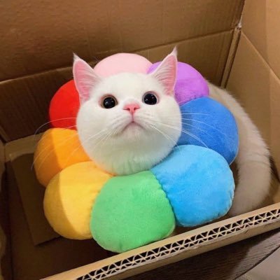 Pharmakokinetic's profile picture. 🐈‍⬛