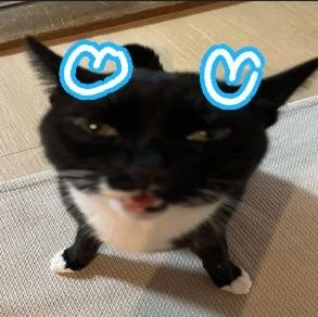 ||main: @aj2020AHGD || 🇮🇩 || ajs dump here and there (into TF & ososan!! #idgaf) (proships dni🚫)
