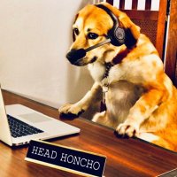 Ruff Past (@ruffpasts) 's Twitter Profile
