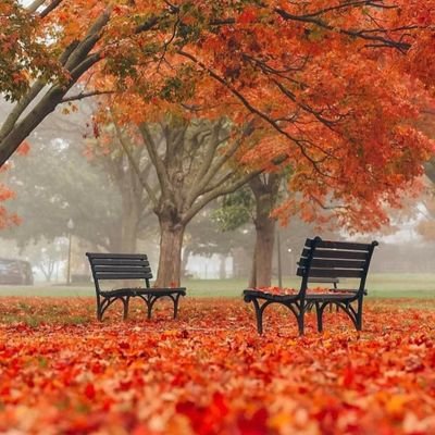 edouarddedaru's profile picture. Né tout habillé, aujourd'hui ruiné, ancien chercheur d'or qui ne trouvait que des diamants. Profession-vieillard. Français de la tête aux pieds.