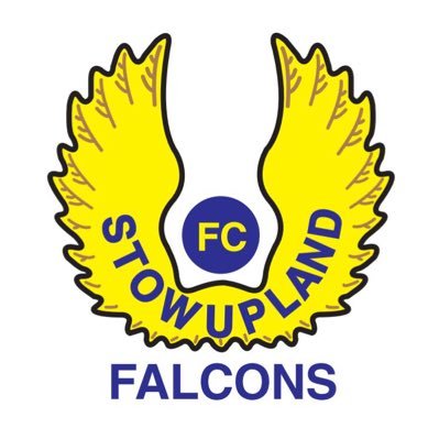 Official Twitter account of Stowupland Falcons FC. Our aim is to be the best of grassroots football in Suffolk. Teams playing in SIL, ISYFL, SWGFL, NSVFL