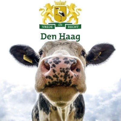 De officiële Twitter-account van Haagse Stadsboerderijen (10x), gemeente Den Haag. Voor beleid en dienstverlening van gemeente Den Haag zie @gemeentedenhaag