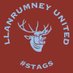 Llanrumney United Juniors (@Llan_UtdJuniors) Twitter profile photo