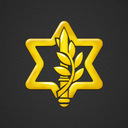 official page of the lDF 






israel idf tsahal