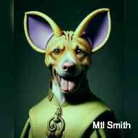 mtlsith's profile picture. Software engineer