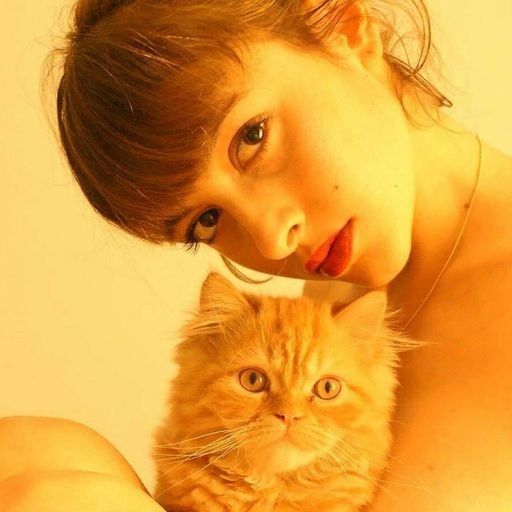 Nazough168384's profile picture. 