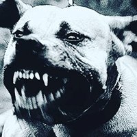 Nuragoy (@anjing3dan) 's Twitter Profile