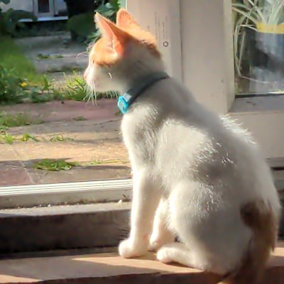 r1ft1's profile picture. 