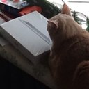 Michael Buth - @MichaelButh - Twitter