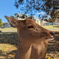 🎗️Joel (@joel_1930) Twitter profile photo
