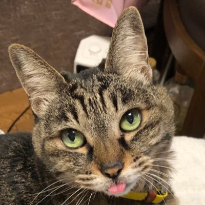 bBBdQsQlW926677's profile picture. 