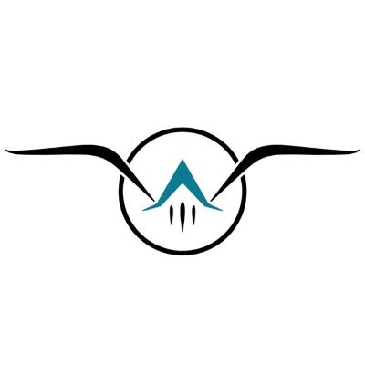 Nautical_Wings's profile picture. Electrifying Global Aviation