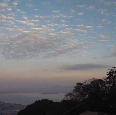 allepikecu's profile picture. 