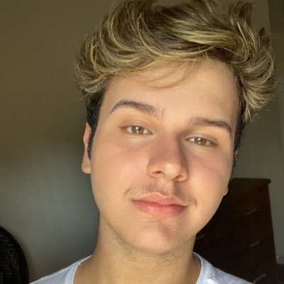 Ei, este é o meu twitter oficial. Eu sou desempregado, sustentado e estudante eeeee aí Instagram: pedrohulian snapchat@pedrohulian