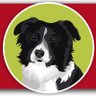 WorkingDogFood's profile picture. Working Dog Food Co. Advanced Nutritional Food For Sporting & Working Dogs. Free U.K Mainland Delivery & No Minimum Order, Made In U.K, VAT Free.