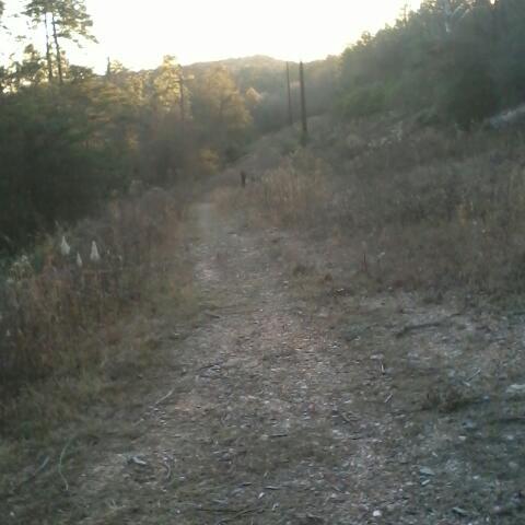 Trackersproblem's profile picture. 