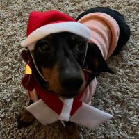 Fish (@smallfish20_) 's Twitter Profile Photo