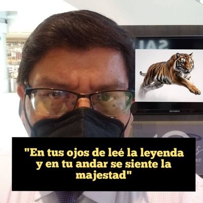Esta cuenta se hizo para apoyar a mi Presidente AMLO únicamente.
Disfruto mucho su actual gobierno.
Gracias Presidente 🤗😎