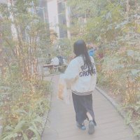 Ayaka (@n_ren_175) 's Twitter Profile