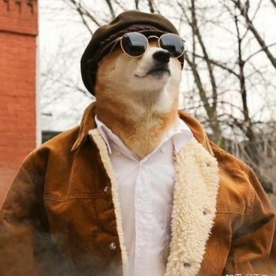 Wang19278692331's profile picture. 我是一个保安 上班只为下班  掌管梭哈的神