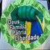 Lineu Franqueira 🇧🇷🇧🇷🇧🇷🇧🇷🇧🇷🇧🇷🇧🇷 (@FranqueiraLineu) Twitter profile photo