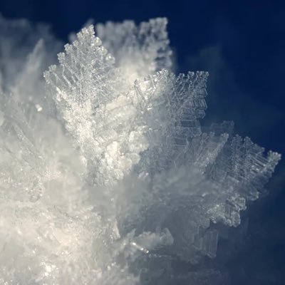 EvergreenrimeCr's profile picture. 