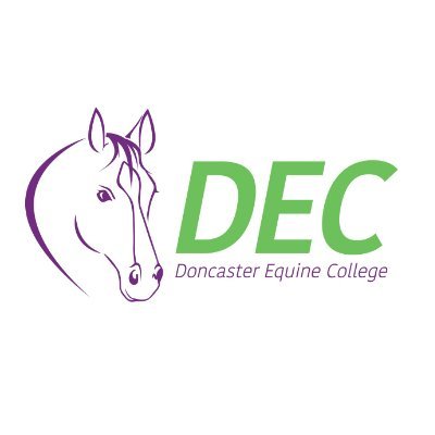 Specialist Equine College offering courses in Horse Care & Horse Management in Doncaster, S.Yorkshire | Supporting Inclusion & Diversity in the Equine Industry