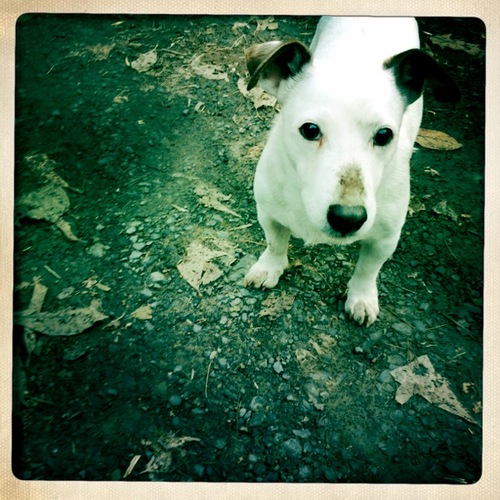 RadioBoi's profile picture. In search of great radio – ridiculous radio, too. SiriusXM, FM/AM, iTunes, Pandora, Conservative, Liberal. What defines Christian, Jew, Muslim, Twerker?