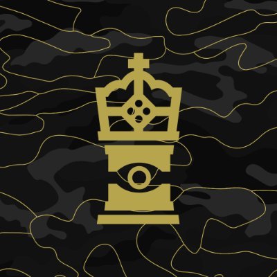 The Castle is a multilateral organisation backed by a large global network of followers. Our main focus is the elimination of illegal online predatory casinos.